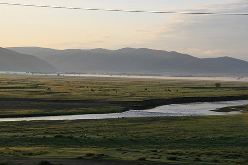 Early morning outside Ulaan Baatar, Mongolia