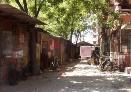 A hutong with greenery and bed sheet