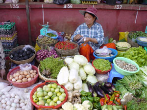 A Khmer woman surrounded by lots of vegies.
