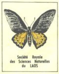 Large Butterfly Stamp