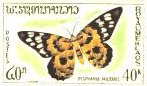 40 Kip Butterfly Stamp