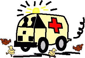 Cartoon Ambulance with Chickens and Ducks