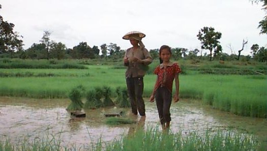 Local Girls in a rice field enjoying a rest as we travel by