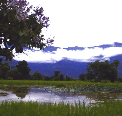 Roadside view of mountains and pond