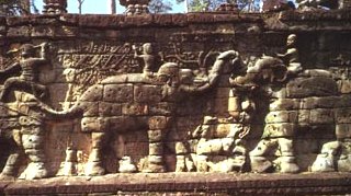 Part of the Elephant Terrace